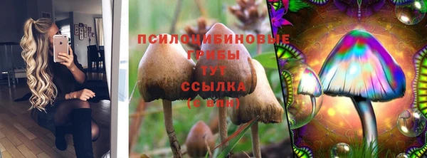 mdpv Покровск