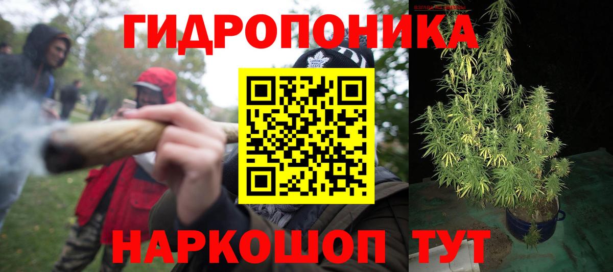 Канабис план Кыштым